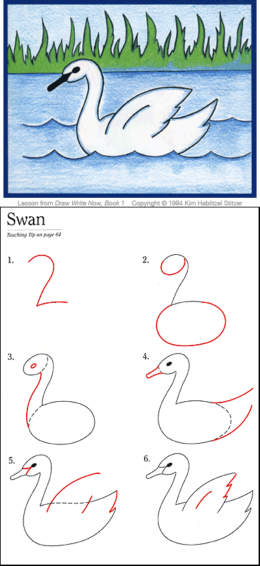 379x824 Swan Lesson, Draw Write Now, Book Homeschool Art Drawings - Duck Drawing For Kids