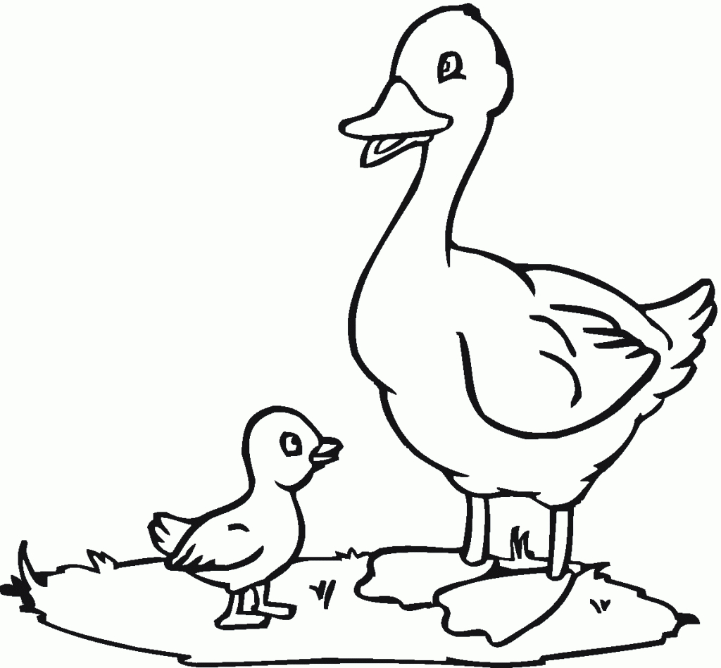 1024x949 Drawing Duck Step For Kids Colour Baby Easy Pictures Photos - Duck Drawing For Kids