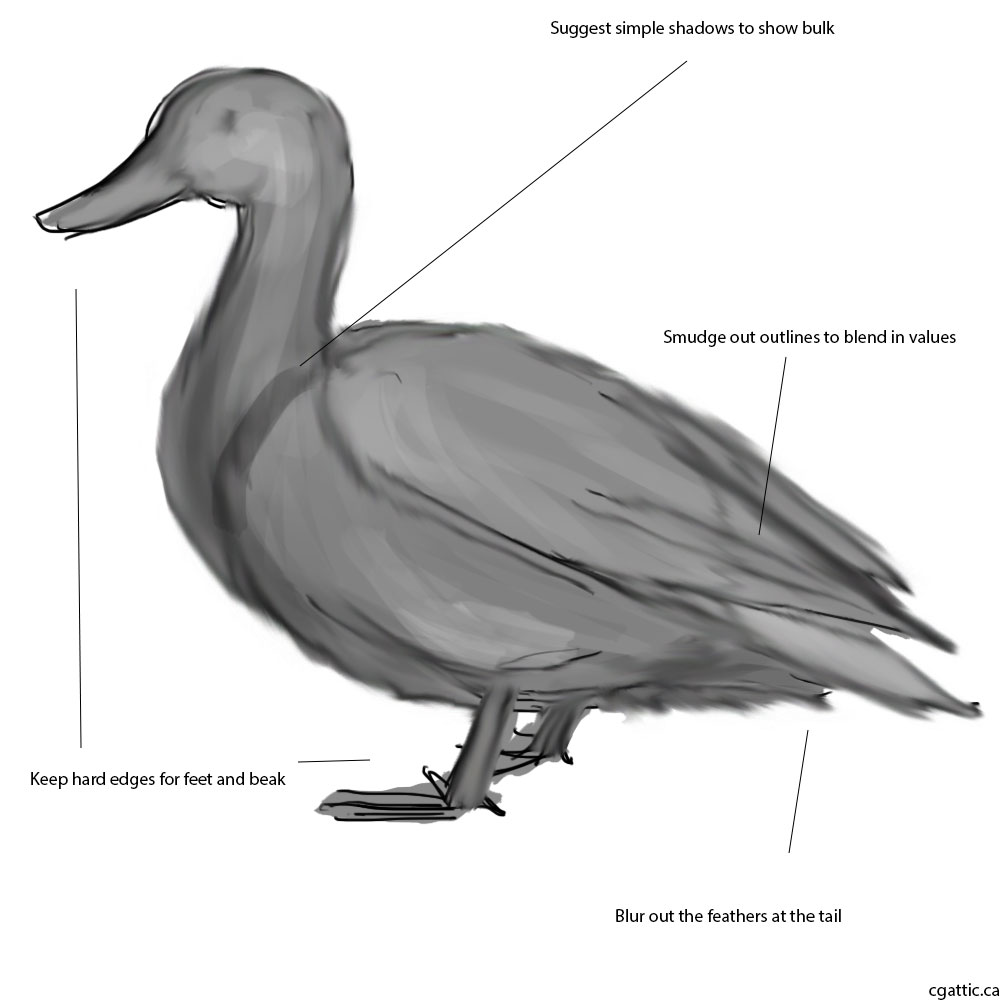 1000x1000 Duck Drawing For Kids Outline Baby Easy Images Face Color Rubber - Duck Drawing For Kids