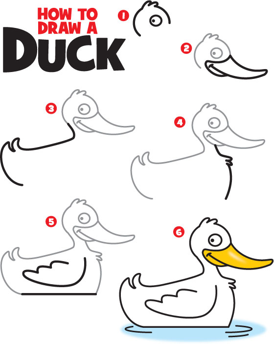 560x702 how to draw a duck kid scoop - Duck Drawing Images