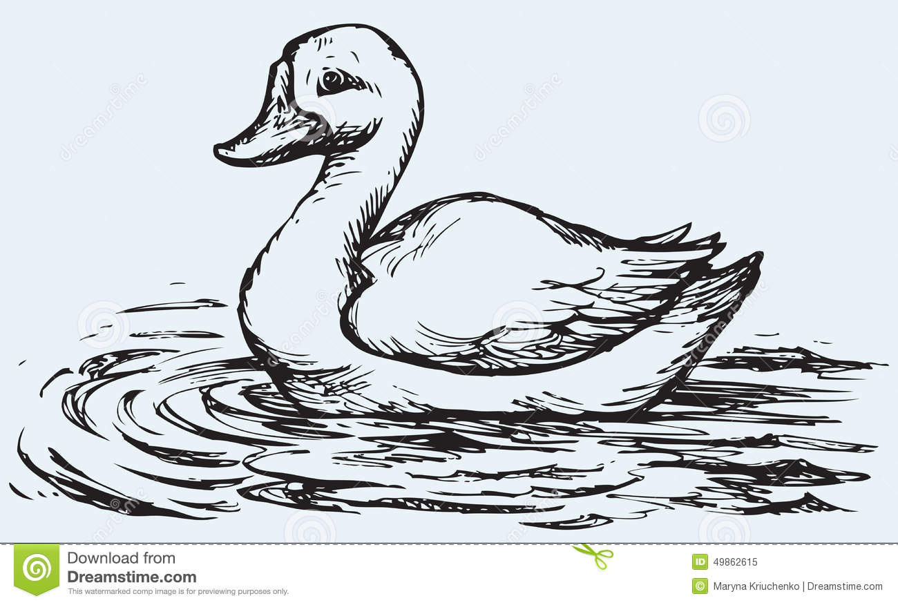 1300x876 Drawing Of A Duck - Duck Drawing Images