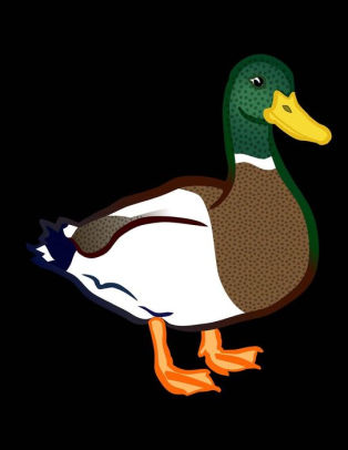 314x406 duck sketchbook duck bordered sketchbook for kids funny duck - Duck Drawing Kids