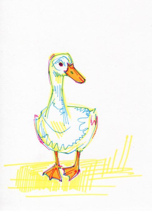 488x680 Duck Drawing Nature Drawings Pictures Drawings Ideas For Kids - Duck Drawing Kids