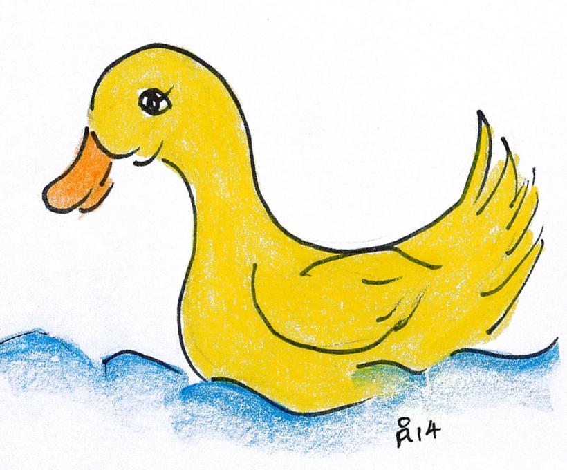 Duck Drawing Kids At Paintingvalley Com Explore Collection Of