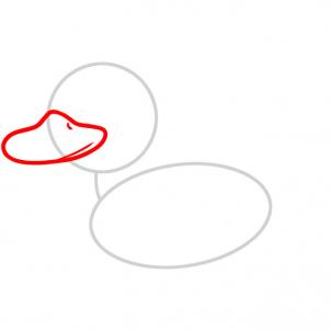302x302 How To Draw How To Draw A Duck For Kids - Duck Drawing Kids