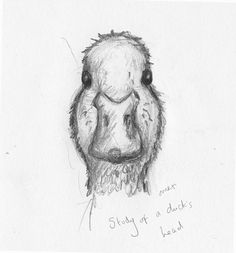 Duck Head Drawing