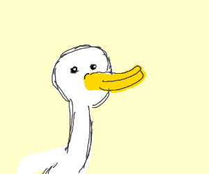 300x250 Duck Head Drawing - Duck Head Drawing