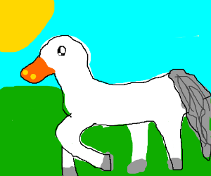 300x250 A Horse With A Duck Head Drawing - Duck Head Drawing
