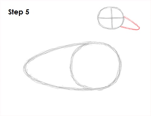 500x386 How To Draw A Duck - Duck Head Drawing