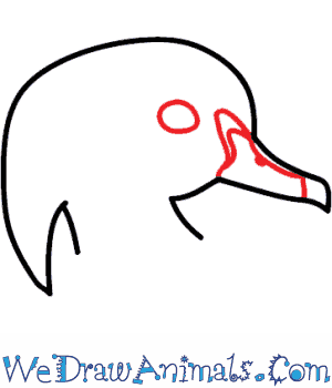 300x350 How To Draw A Wood Duck - Duck Head Drawing