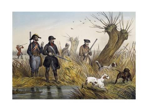 473x355 duck hunting, drawing - Duck Hunting Drawings