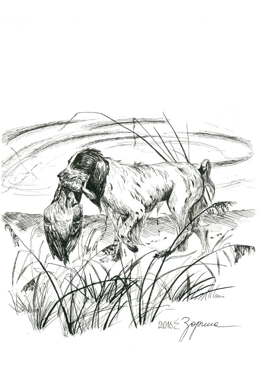 848x1200 Game Drawing - Duck Hunting Drawings