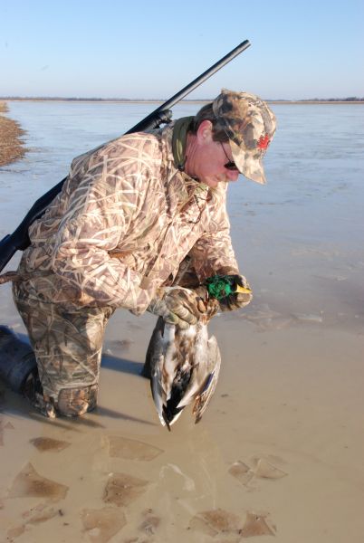 402x600 so you were lucky enough to draw a permit this year, here's how - Duck Hunting Drawings