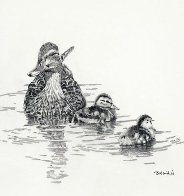 375x400 waterfowl hunting archives - Duck Hunting Drawings
