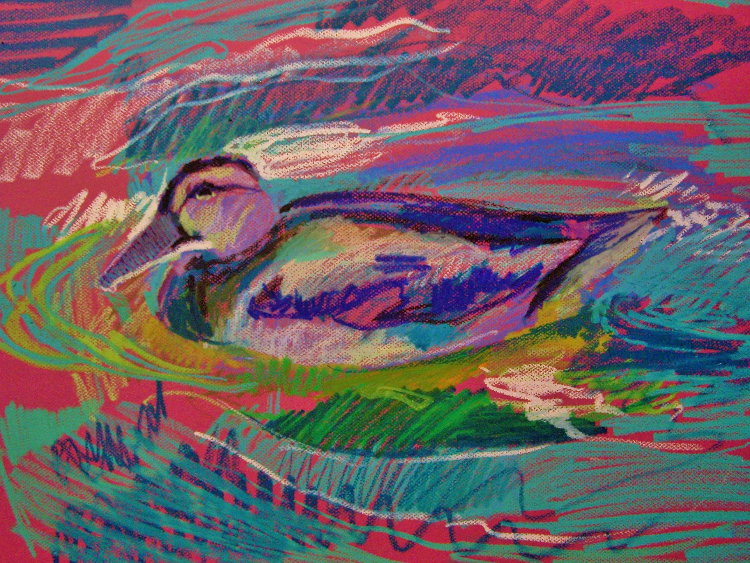 2576x1932 duck hunting aletha kuschan's weblog - Duck Hunting Drawings