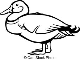 259x194 duck mallard clip art vector and illustration duck mallard - Duck Line Drawing