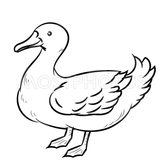 563x563 Line Drawing Of Duck Simp - Duck Line Drawing
