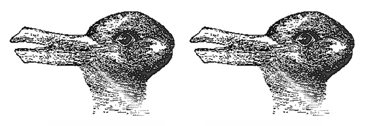 1200x413 duck, duck, rabbit how we see what we see kyle e mathewson - Duck Or Rabbit Drawing
