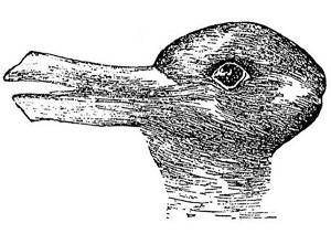 300x212 Duck And Rabbit - Duck Or Rabbit Drawing