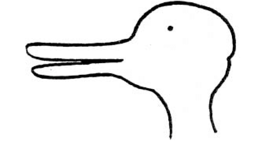 850x467 Duck Rabbit Drawing Download Scientific Diagram - Duck Or Rabbit Drawing