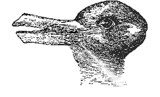 646x392 Duckrabbit Drawing - Duck Or Rabbit Drawing