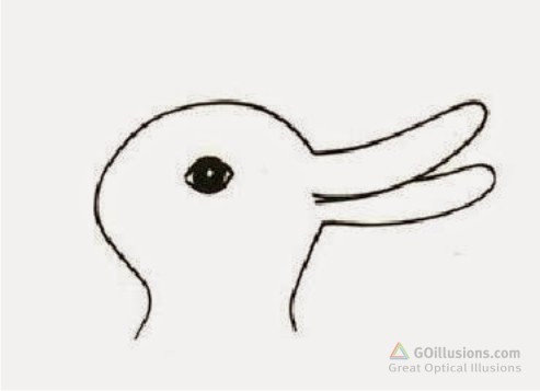 493x357 great optical illusions, funny photos and images, brain teasers - Duck Or Rabbit Drawing