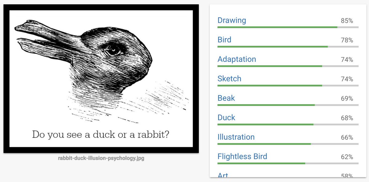 1199x594 Max Woolf On Twitter Is It A Duck Or A Rabbit For Google Cloud - Duck Or Rabbit Drawing