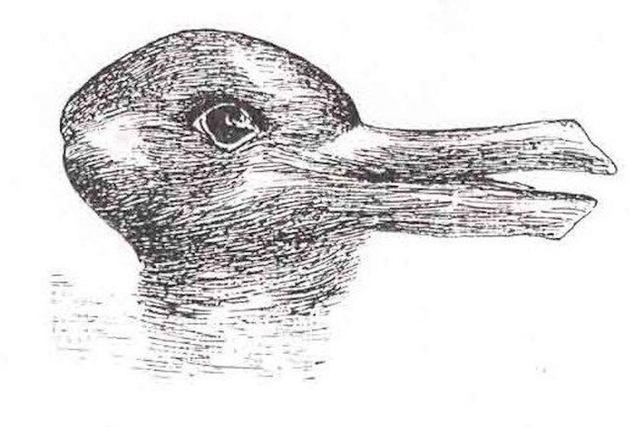 1280x868 Stock Charts Challenge Investors To Make Sense Of Ambiguous Images - Duck Or Rabbit Drawing