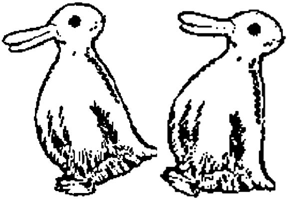 577x402 Rabbit Or Duck - Duck Or Rabbit Drawing