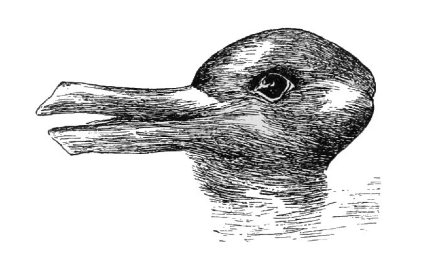 Duck Or Rabbit Drawing at PaintingValley.com | Explore collection of ...