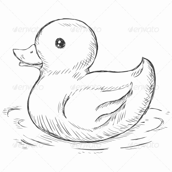 590x590 Duck Outline Drawing Inspirational Duck Coloring - Duck Outline Drawing
