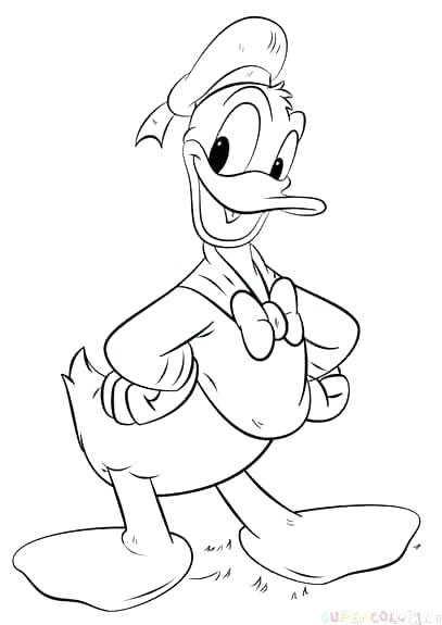 407x575 Duck Outline How To Draw Duck Step - Duck Outline Drawing