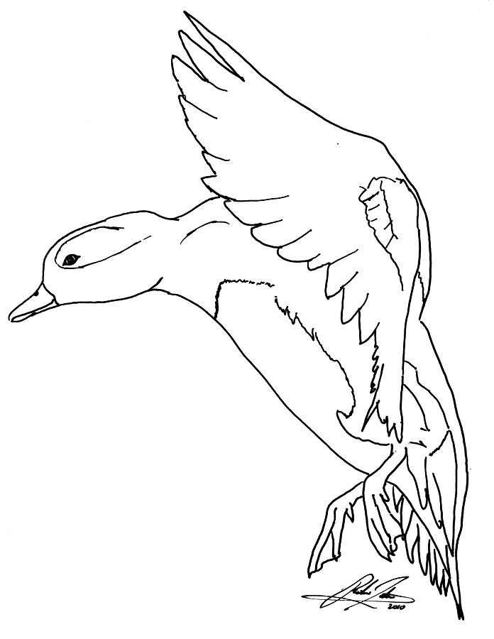 696x900 Landing Duck Outline Drawing - Duck Outline Drawing