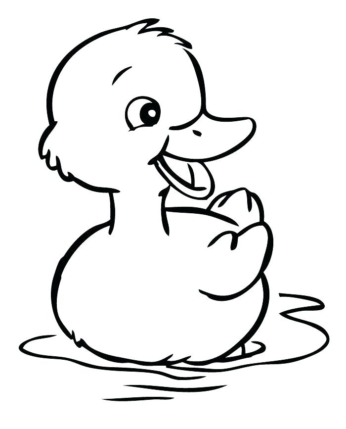 700x867 Duck Outline - Duck Outline Drawing