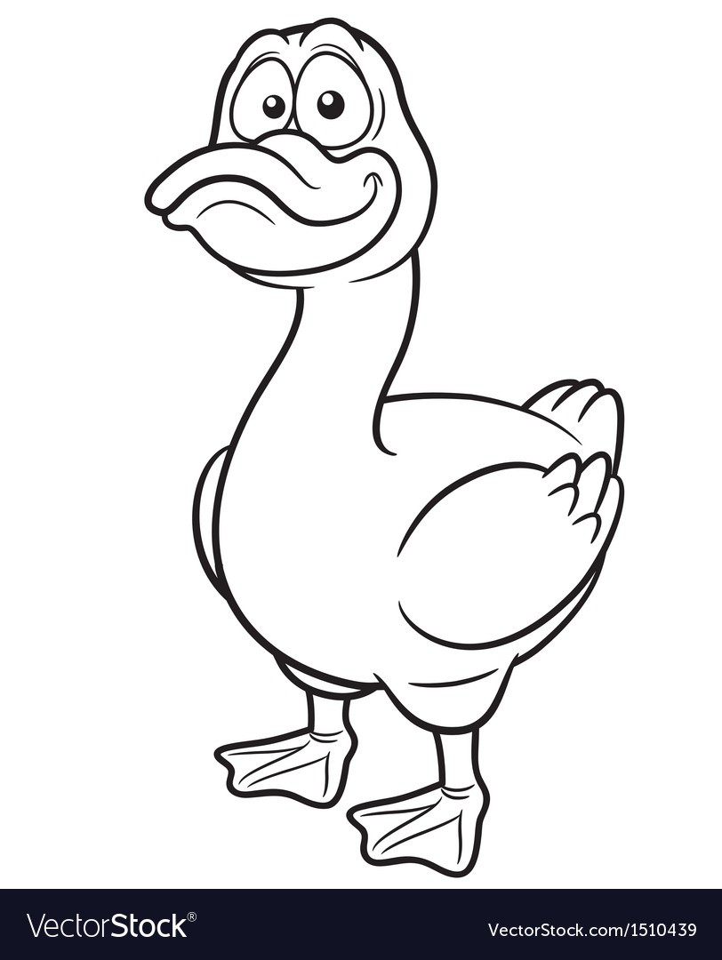 Duck Outline Drawing at Explore collection of Duck