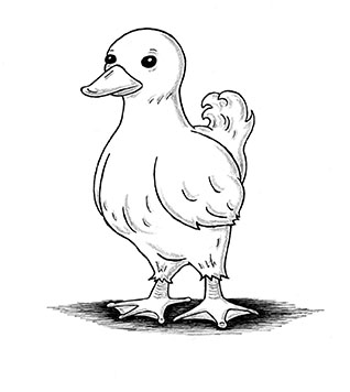 318x356 duck creativeliz - Duck Pencil Drawing