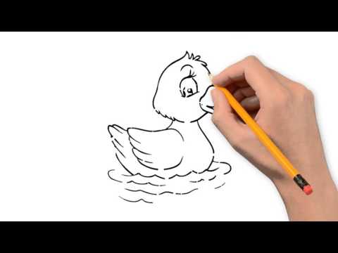 480x360 Duck Animals Pencil To Draw Step - Duck Pencil Drawing