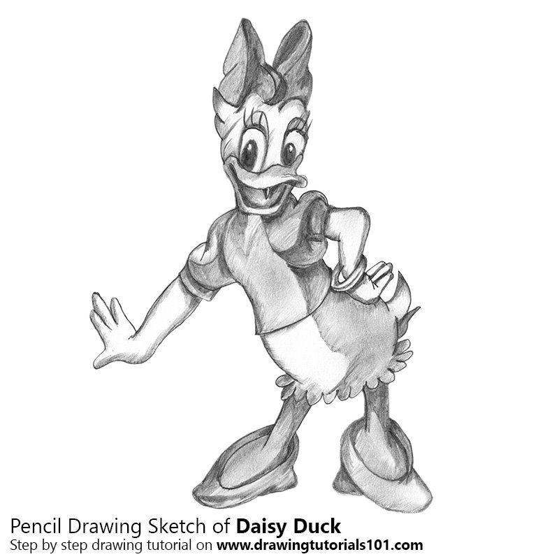 800x800 Daisy Duck Pencil Drawing - Duck Pencil Drawing