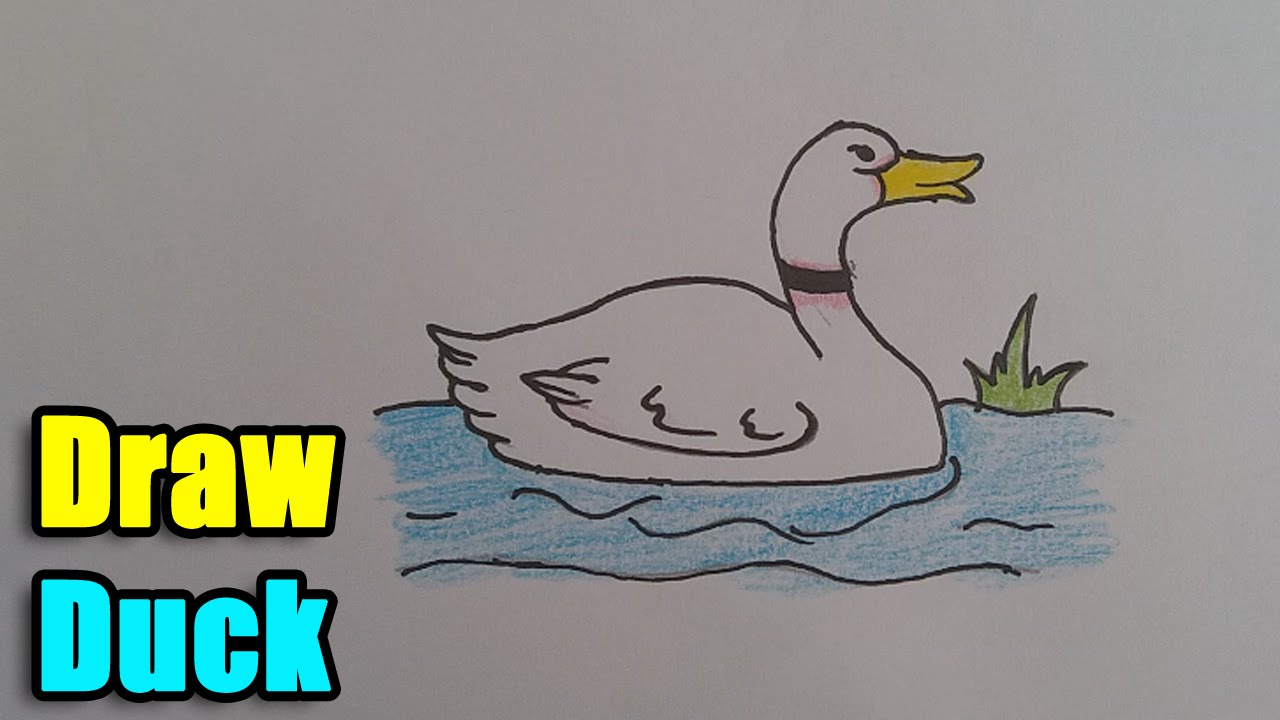 1280x720 How To Draw Duck For Kids - Duck Picture Drawing