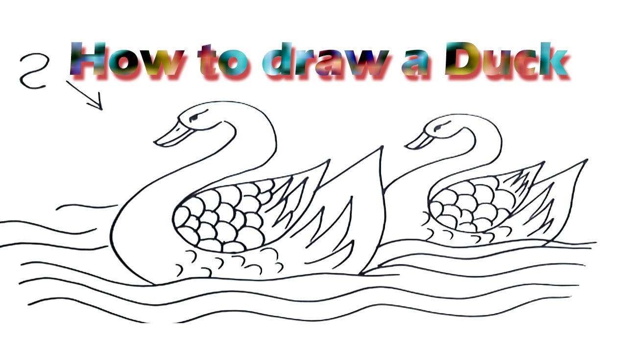 1280x720 How To Draw A Duck - Duck Picture Drawing