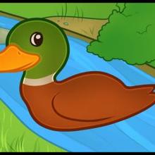 220x220 How To Draw How To Draw A Duck For Kids - Duck Picture Drawing