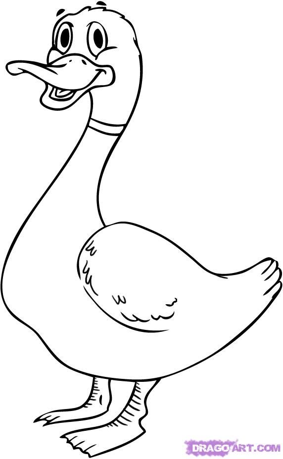 572x928 How To Draw A Cartoon Duck Step My Style Duck Cartoon - Duck Picture Drawing