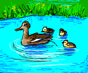 300x250 duck pond drawing - Duck Pond Drawing
