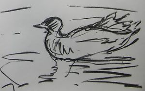 300x189 jose trujillo artist original charcoal drawing duck pond sketch - Duck Pond Drawing