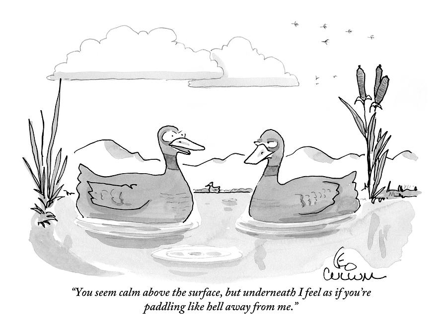 900x675 one duck on a pond says to another drawing - Duck Pond Drawing