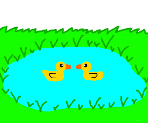 300x250 two ducks in a pond face each other drawing - Duck Pond Drawing