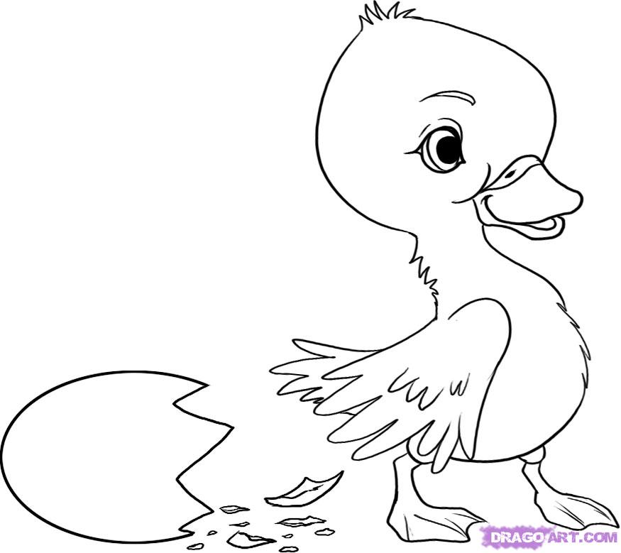 875x779 duckling drawing - Duckling Drawing