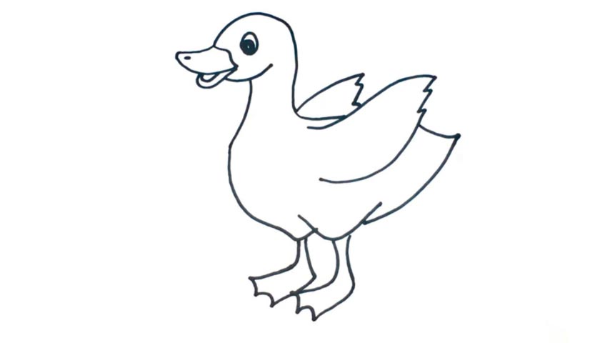 854x480 how to draw a duckling - Duckling Drawing