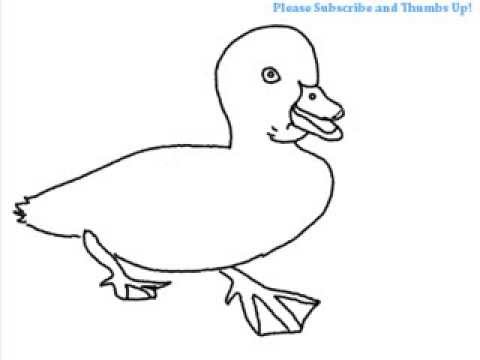480x360 how to draw a duckling - Duckling Drawing