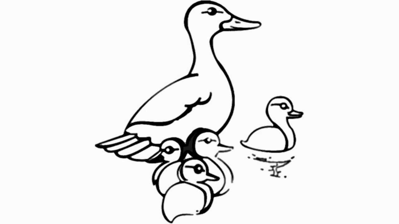 1280x720 how to draw a cartoon duck - Duckling Drawing